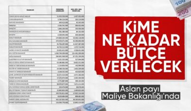 OVP, Resmi Gazete’de: Bütçeden en büyük pay Maliye’nin