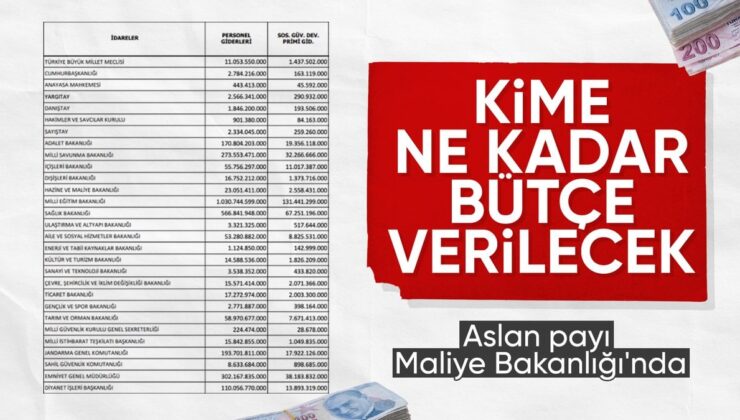 OVP, Resmi Gazete’de: Bütçeden en büyük pay Maliye’nin