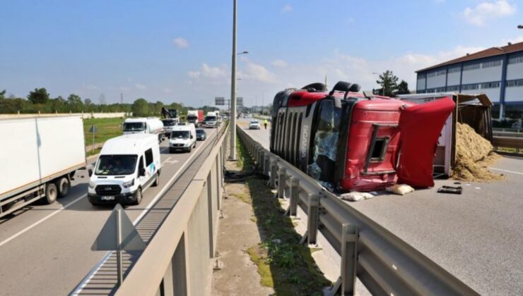 Samsun’da arı sokunca kaza yaptı