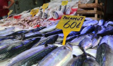 Samsun’da tezgahlarda palamut bereketi