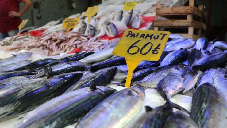 Samsun’da tezgahlarda palamut bereketi