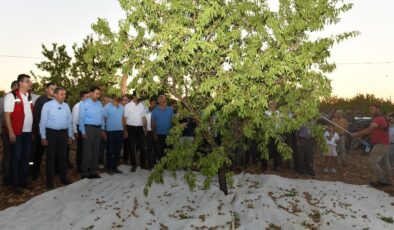 Şanlıurfa’da badem hasadındaki artış çiftçiyi memnun etti