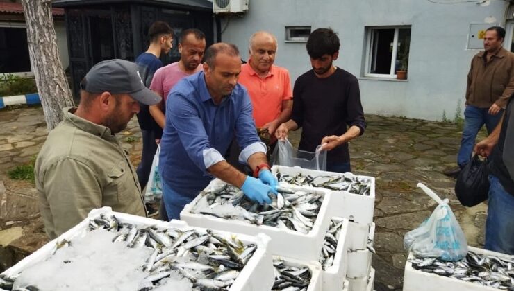 Sinop’ta kaçak avlanan balıklar vatandaşa dağıtıldı