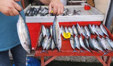 Zonguldak’ta 4 günde yakalanan 100 ton palamudun fiyatı düşüyor