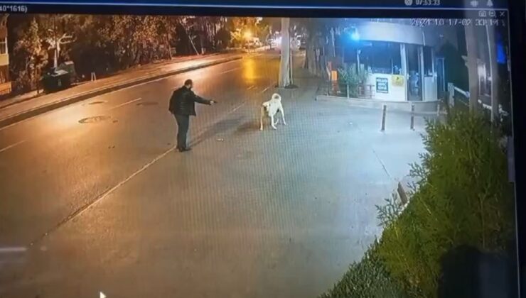 Bahçelievler’de korkutmak için ateş eden adama köpek aldırmadı