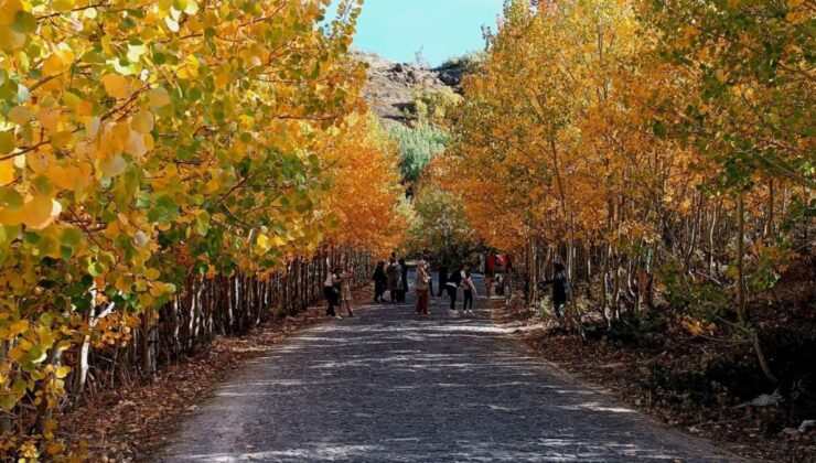 Bitlis Nemrut Kalderası’nda sonbahar güzelliği