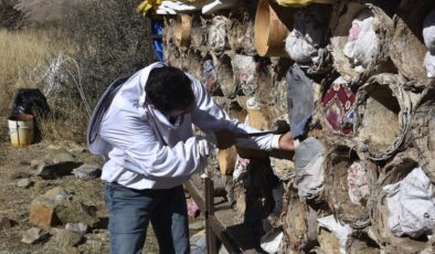 Bitlis’te dünyaca ünlü karakovan balı tercih ediliyor