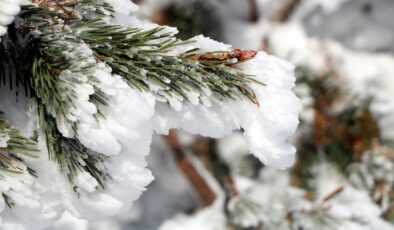 Bolu Köroğlu Dağları’ndan kartpostallık manzaralar