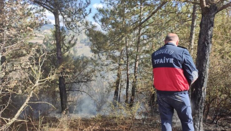 Bolu’da ot yangını ormana sıçramadan söndürüldü