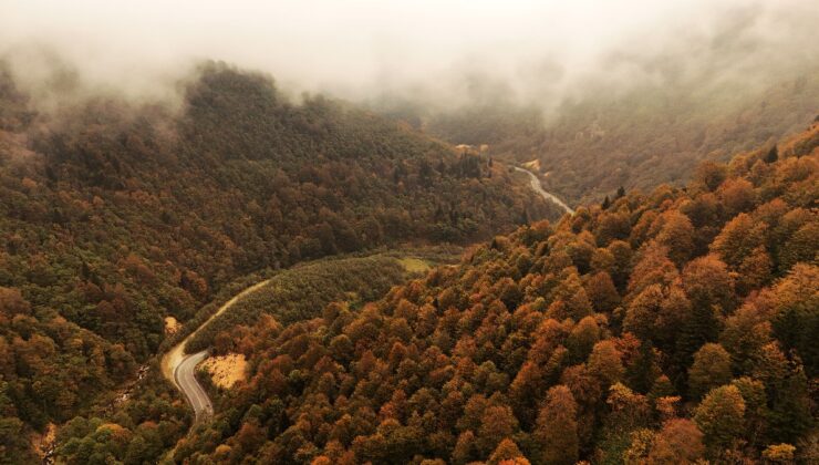 Doğu Karadeniz’de sonbaharın büyüleyici renkleri