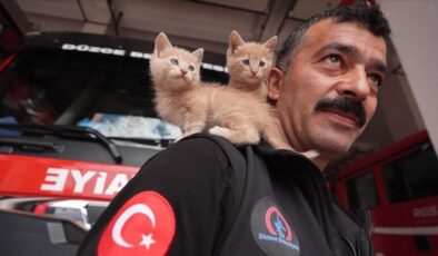 Düzce’de itfaiye çalışanı, kurtarılan kedi yavrularını sahiplendi