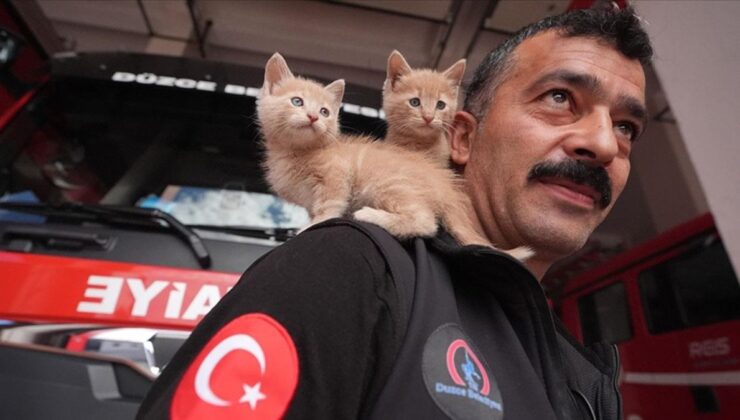 Düzce’de itfaiye çalışanı, kurtarılan kedi yavrularını sahiplendi