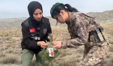 Erzincan’da kadın polisler, şehit meslektaşları için fidan dikti