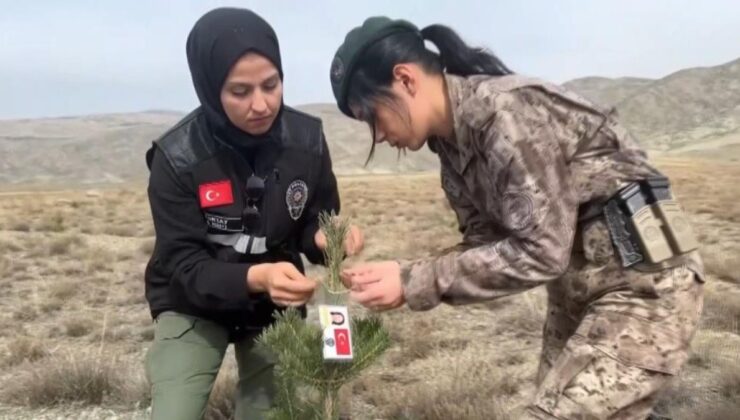 Erzincan’da kadın polisler, şehit meslektaşları için fidan dikti