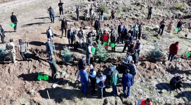 Erzurum’da 60 bin fidan toprakla buluştu