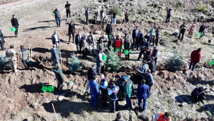 Erzurum’da 60 bin fidan toprakla buluştu