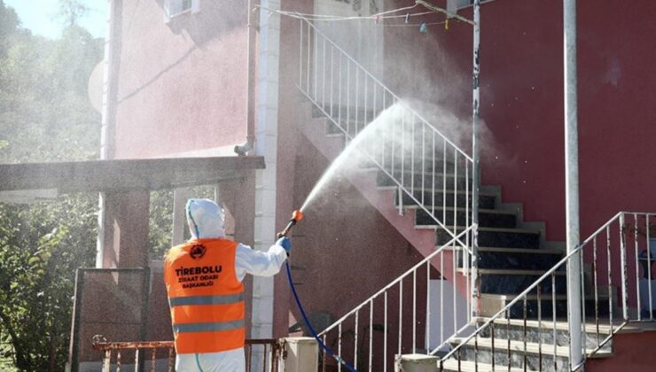 Giresun’da kahverengi kokarcayla mücadele imha timi kuruldu