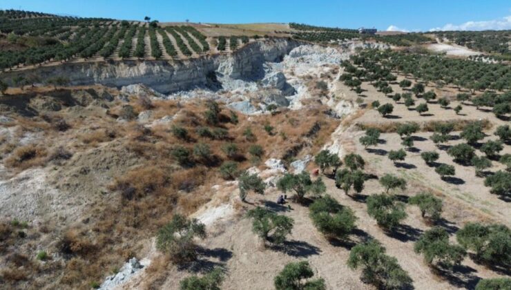 Hatay’da depremin ikiye ayırdığı bahçede hasat