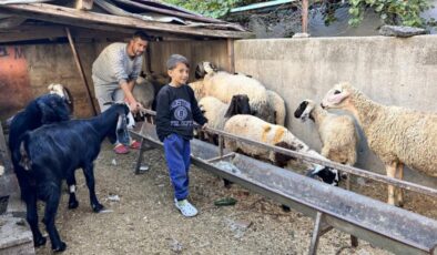 Hatay’da depremzedenin koyunları çalındı, polis umut oldu