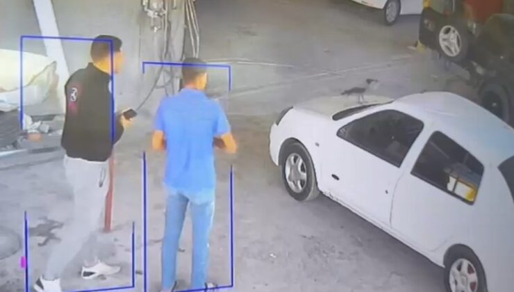 Mersin’de otomobile konan karga, kaputtaki anahtarı çaldı