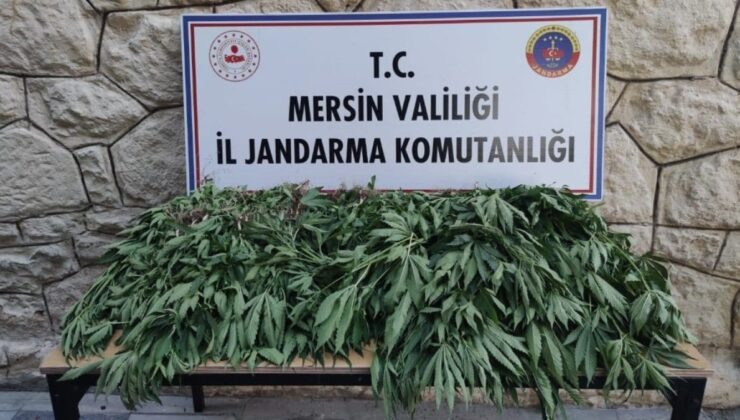 Mersin’de uyuşturucu serası kuran şahıs yakalandı