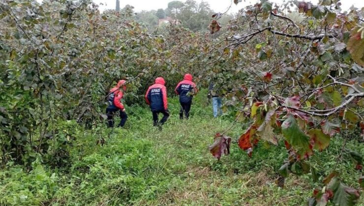 Ordu’da hurma toplamaya giden yaşlı adamın cansız bedeni bulundu