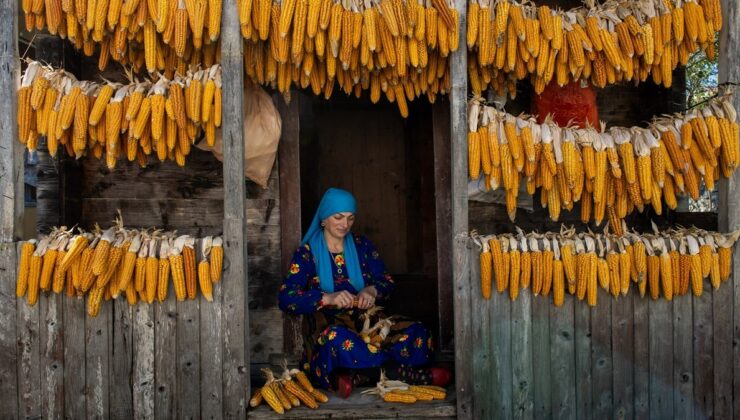 Trabzon’un serenderlerinde kışa hazırlık