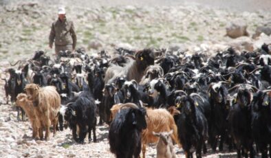 Antalyalı yörükler yayladan dönüşe geçti