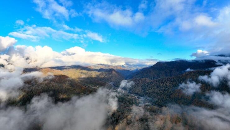 Artvin ormanlarında renk cümbüşü