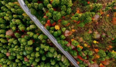 Bolu Gölcük Tabiat Parkı’nda sonbahar