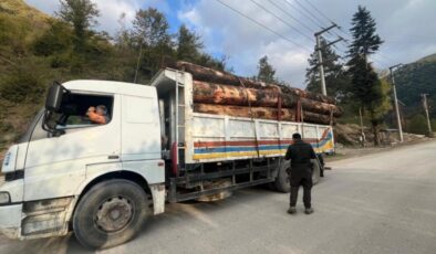 Bolu’da kamyon dolusu kaçak odun yakalandı