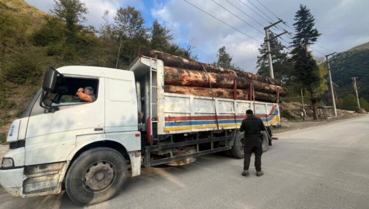 Bolu’da kamyon dolusu kaçak odun yakalandı