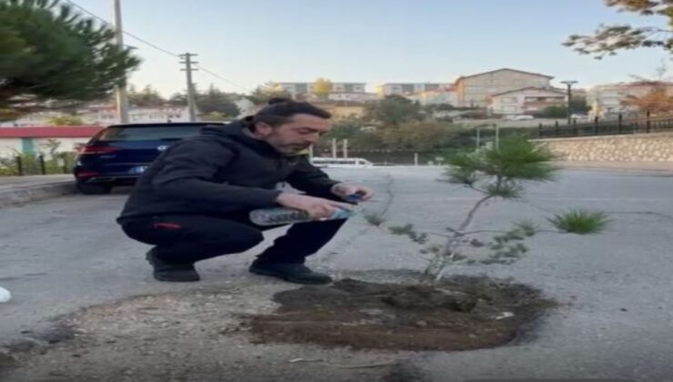 Bursa’da motosiklet sürücüsü, sokaktaki çukuru fidan dikerek protesto etti