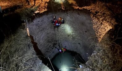 Diyarbakır’da yaban domuzu kurtarma operasyonu