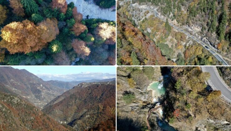 Giresun sonbahar renklerine teslim oldu