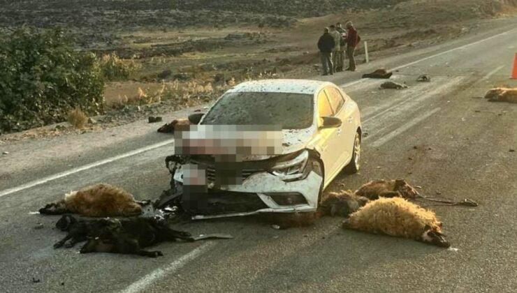 Hatay’da küçükbaş hayvan sürüsüne otomobil çarptı: 17 hayvan telef oldu