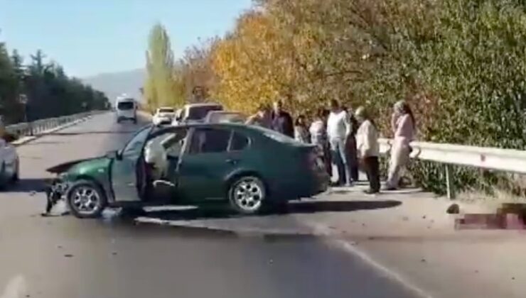 Isparta’da otomobille domuza çarptılar