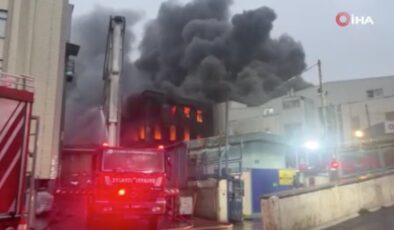 İstanbul’da fabrika yangınına müdahale sürüyor