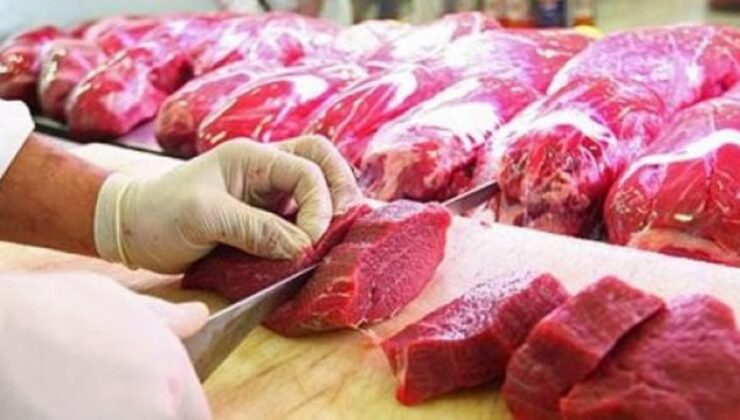 Kastamonu’daki denetimlerde 75 kilogram at eti ele geçirildi