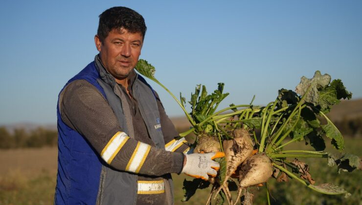 Kırıkkale’de kuraklık şeker pancarının rekoltesini etkiledi