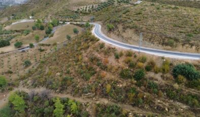 Manavgat yangınında kül olan tepeler yeniden sonbahar renklerine büründü