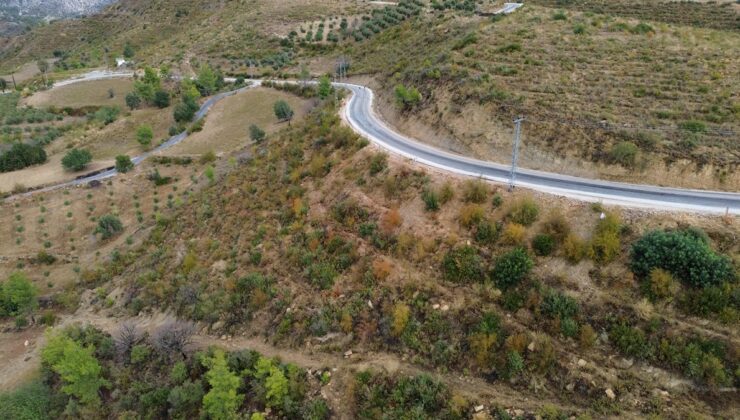 Manavgat yangınında kül olan tepeler yeniden sonbahar renklerine büründü