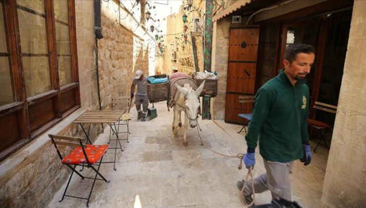 Mardin’de ‘çalışan eşekler’ emekliye ayrılıyor