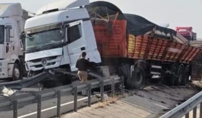 Mardin’de kaza yapan tırdaki hayvanlar yola çıktı