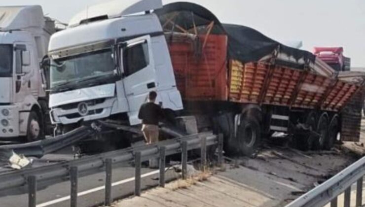 Mardin’de kaza yapan tırdaki hayvanlar yola çıktı