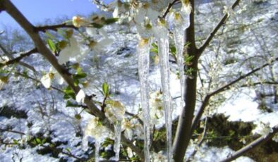 Muğla’ya yağmur sonrası soğuk hava uyarısı