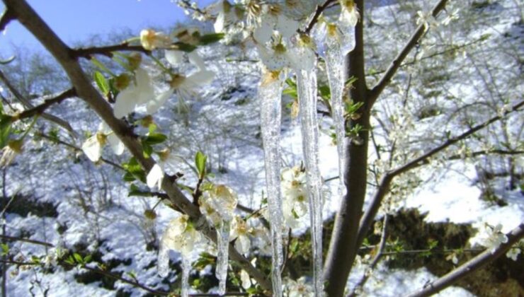 Muğla’ya yağmur sonrası soğuk hava uyarısı