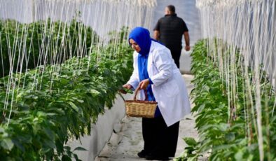 Organik ve iyi tarım uygulamalarına verilen destek açıklandı