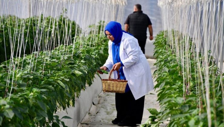 Organik ve iyi tarım uygulamalarına verilen destek açıklandı