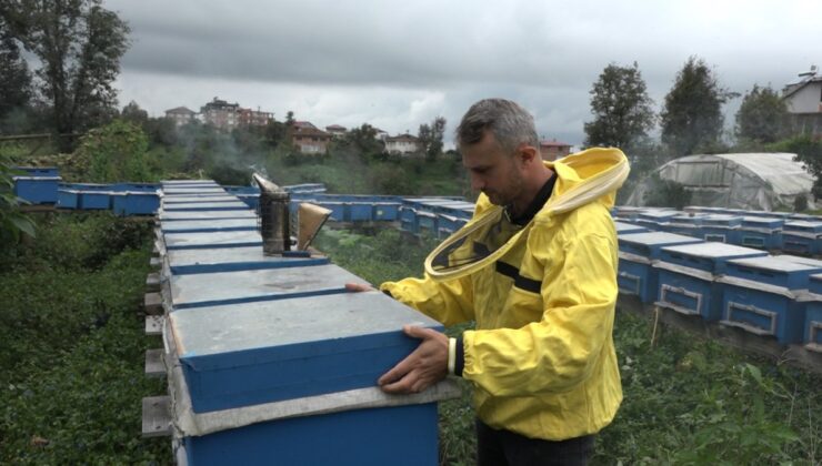 Rize’de arıcılık yapmak için doktora ve öğretmenlikten vazgeçti